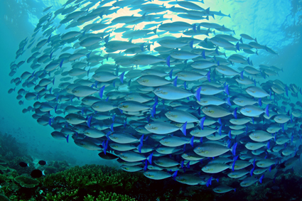 cda3cfc1903611615e1c2f10489806be_0 13 이상훈 광각1.jpg